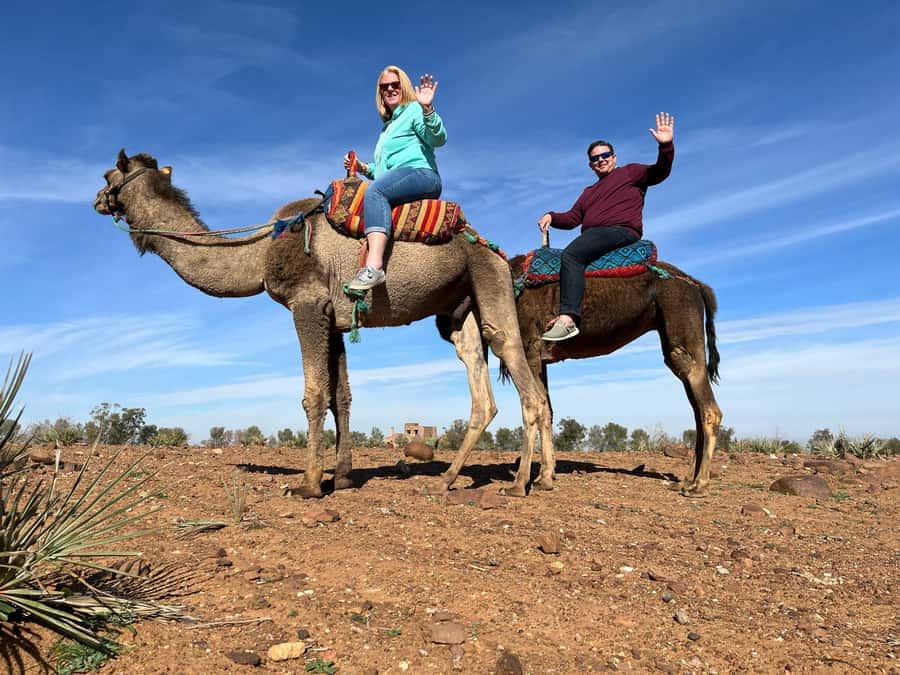 Ourika Valley Private Trip: Lunch, Guide, & Camel Ride - What the $104 price really covers