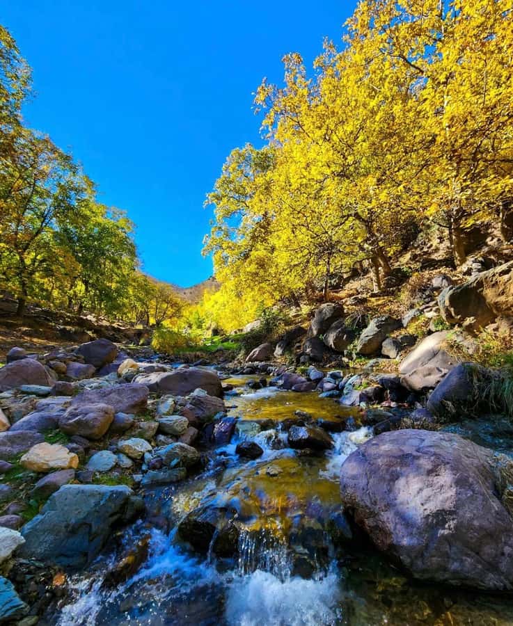 Ourika Valley: Quad Biking,Camel Riding,and Hiking Adventure - What $45 really gets you