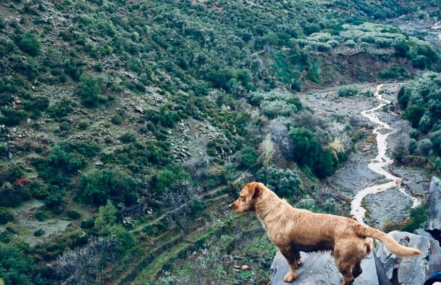 Ourika Valley: Quad Biking,Camel Riding,and Hiking Adventure - The two-hour hike to the waterfalls