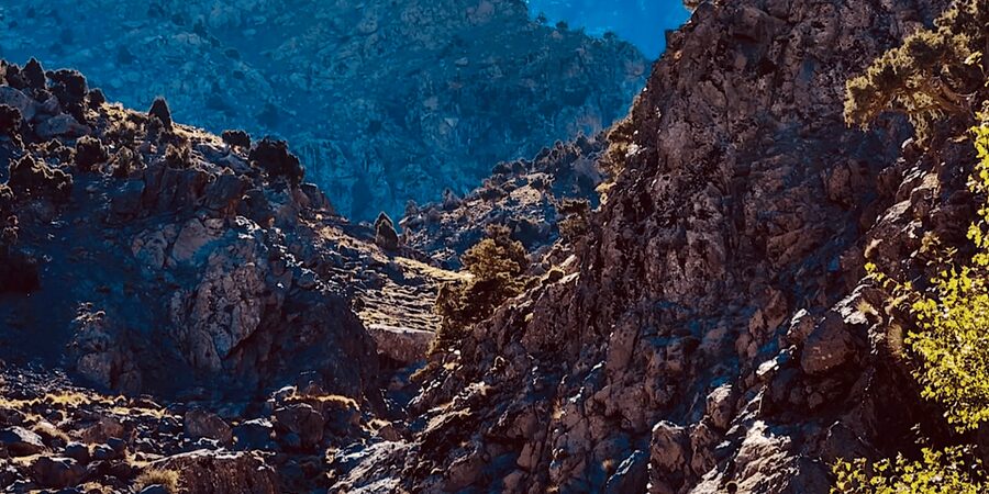 Ourika Valley: Quad Biking,Camel Riding,and Hiking Adventure - Quad biking in the Atlas foothills