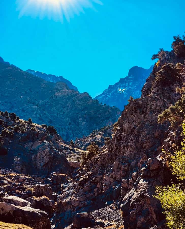 Ourika Valley: Quad Biking,Camel Riding,and Hiking Adventure - Guides, drivers, and group size
