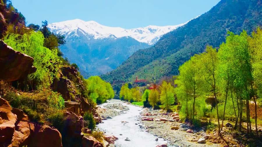 Ourika Valley with Atlas Mountains Day Trip from Marrakech - Lunch beside the Ourika stream