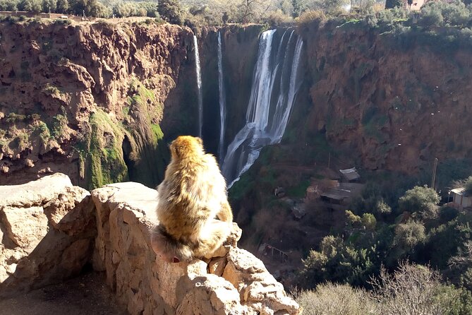 Ouzoud Waterfalls Full Day Trip From Marrakech - The optional boat ride below the falls