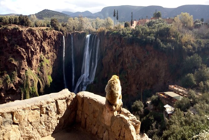 Ouzoud Waterfalls Full Day Trip From Marrakech - What the $15.76 price really buys you