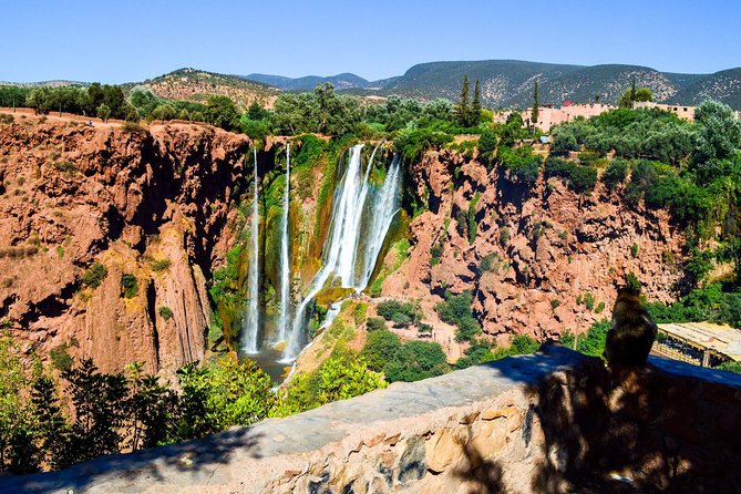 Ouzoud Waterfalls Guided Hike and Boat Trip from Marrakech - My call: a strong-value waterfall day with a long ride
