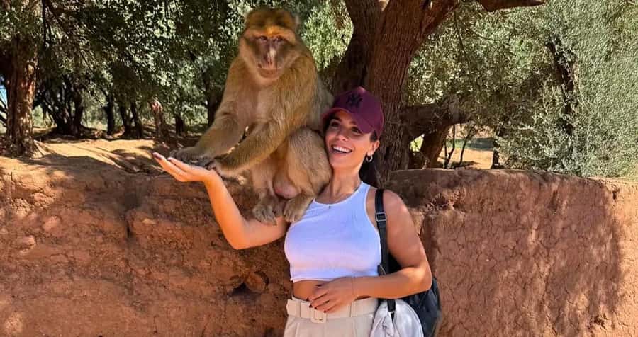 Ouzoud Waterfalls: Majestic Guided Hike and Adventure - Walking through olive groves and Berber country