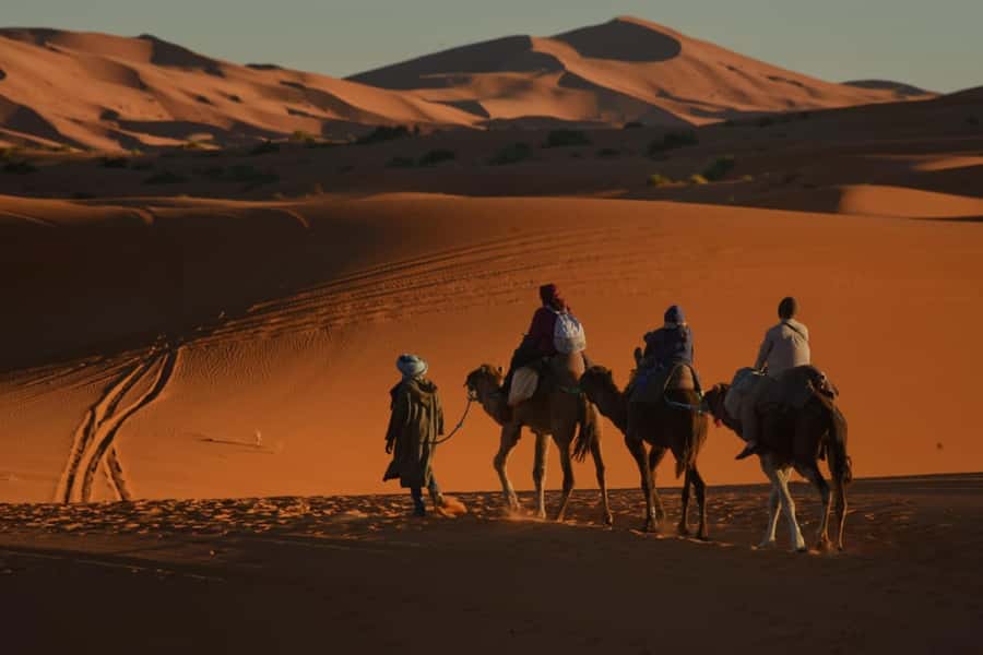 Overnight in Luxury Tent in Desert Camp Erg Chebbi Merzouga - Dinner, music, and the night sky