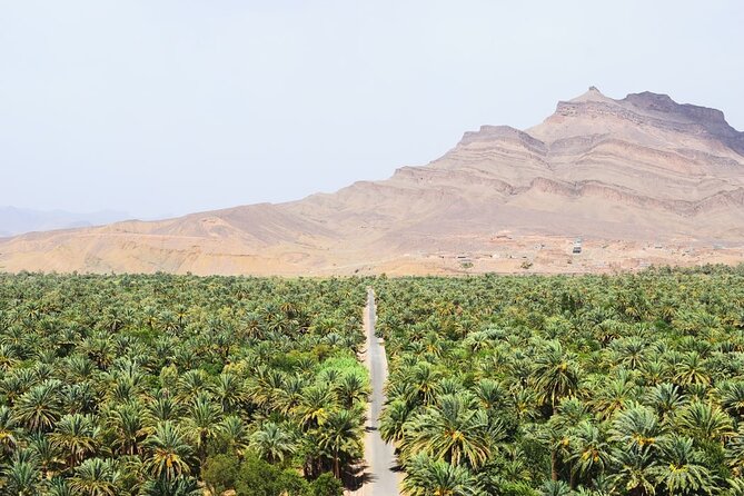 Overnight Sahara Tour from Marrakech to Mhamid - Sunrise, breakfast, and a very long return
