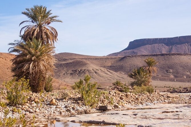Overnight Sahara Tour from Marrakech to Mhamid - Walking through Ait-Ben-Haddou