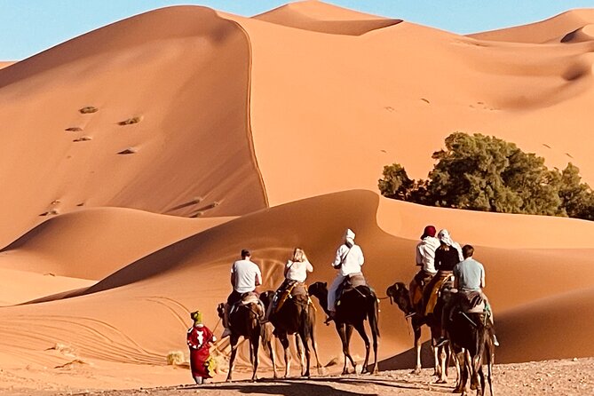 Overnight stay in desert camp & Camel trekking in the Sahara - Key points at a glance