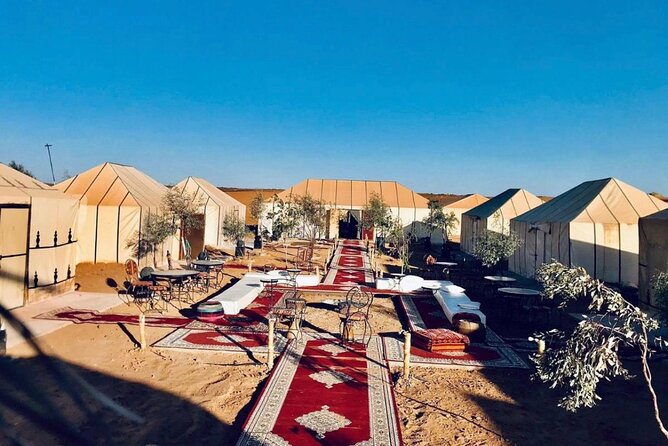 Overnight stay in desert camp & Camel trekking in the Sahara - Sunrise, breakfast, and the camel ride back