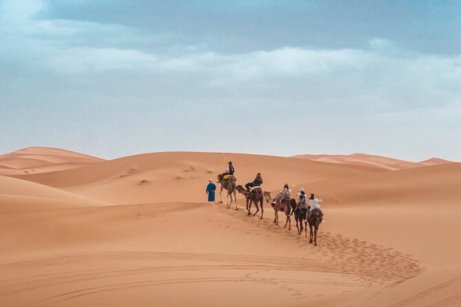 Overnight Tour From Fes to Sahara Desert - Key points at a glance