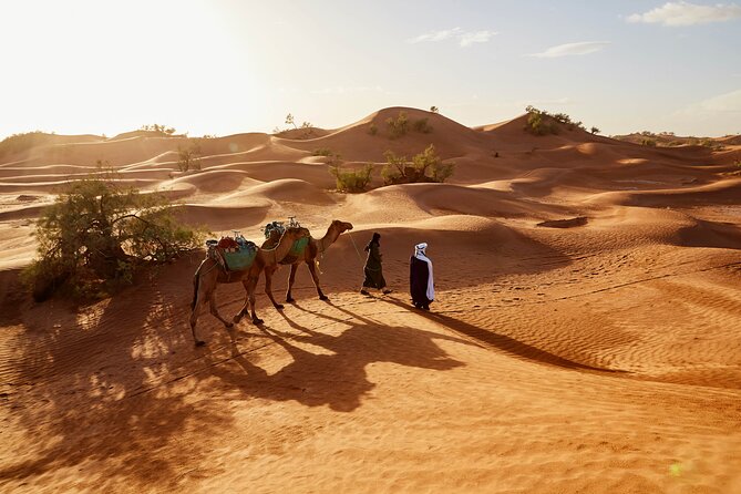 Overnight Tour From Fes to Sahara Desert - Who will enjoy this trip most