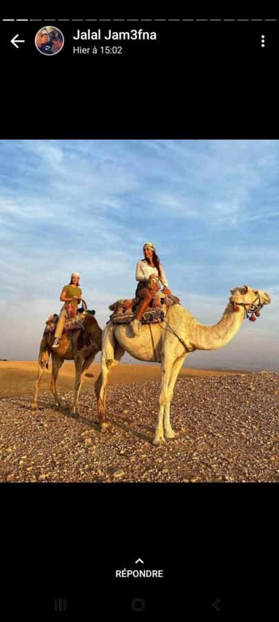Palmeraie Marrakech Camel Ride & Quad Bike Package Exprience - Key points to know before booking