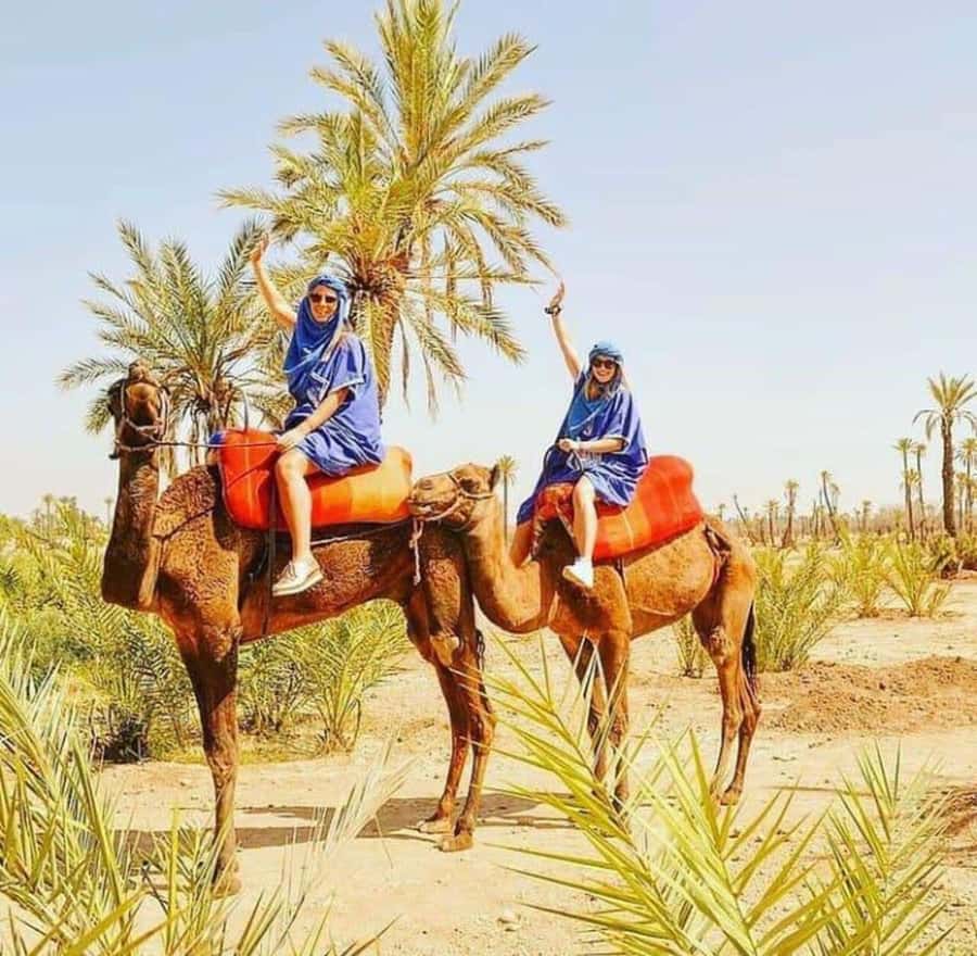 Palmeraie Marrakech Camel Ride & Quad Bike Package Exprience - The Palmeraie is the setting, not the Sahara