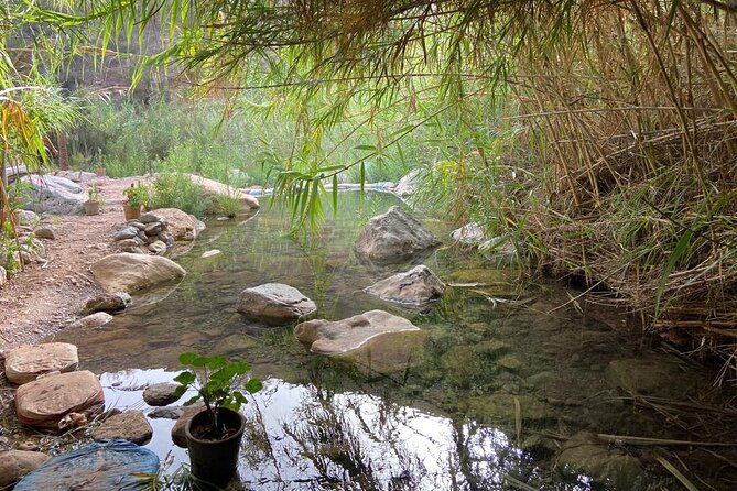 Paradise Valley and Atlas Mountains Adventure in Agadir - Why the guide matters so much