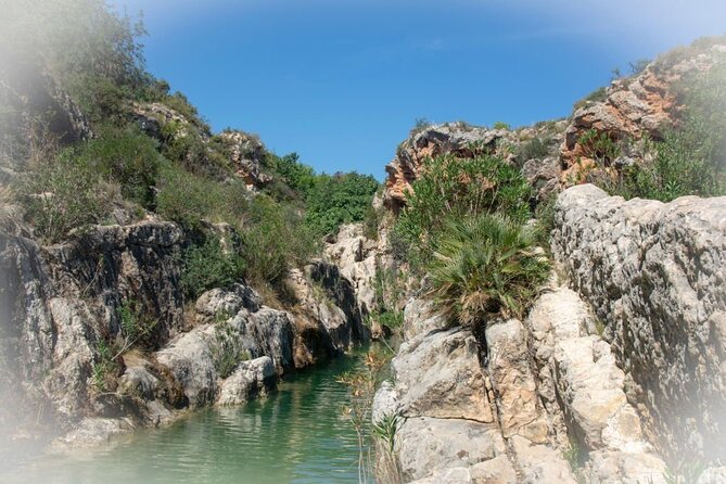 Paradise Valley & Atlas Mountains Adventure with optional LUNCH - Swimming when the pools are full