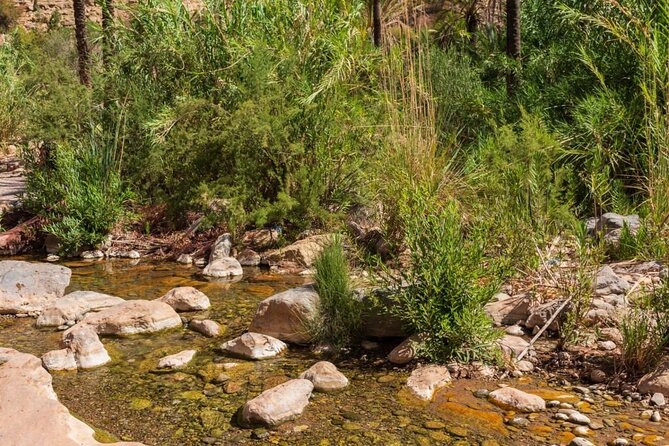 Paradise Valley & Atlas Mountains Adventure with optional LUNCH - Practical details before you book
