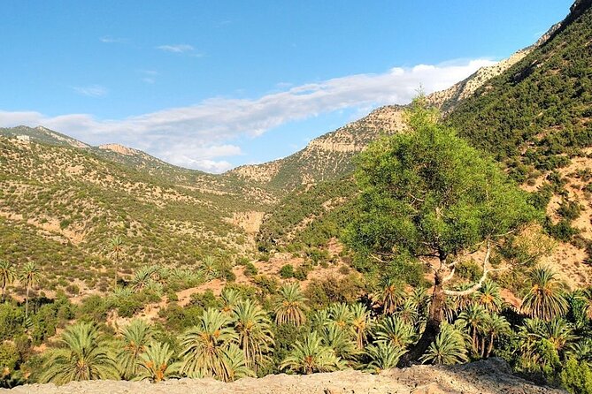 Paradise Valley & Atlas Mountains Adventure with optional LUNCH - Walking down into Paradise Valley