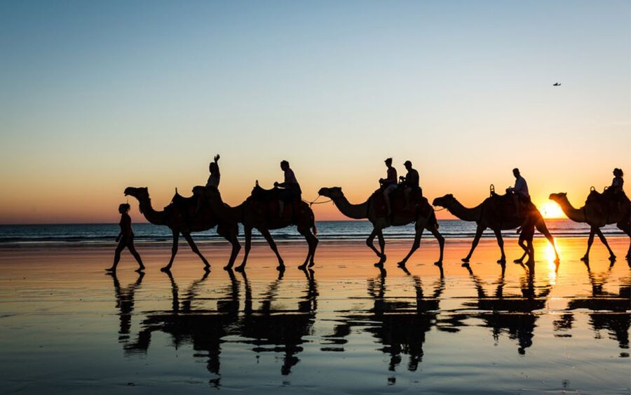 Paradise Valley & Desert Dunes with Camel Ride and quad bike - Guides, transport, and the feel of the day