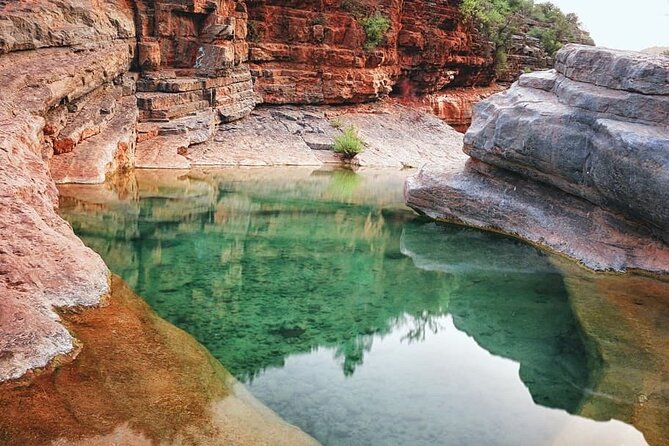 Paradise Valley & The Old Taghazout village Private Tour - Guides who shape the day