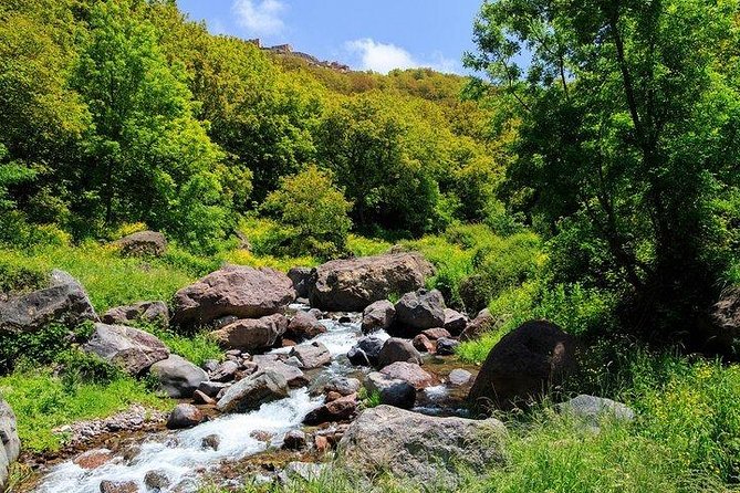 Premium Atlas Mountains & Berber Village Day Trip with Camel Ride - Why this Atlas Mountains trip offers unusual value