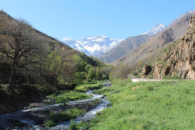 Premium Atlas Mountains & Berber Village Day Trip with Camel Ride - The camel ride comes after the mountains