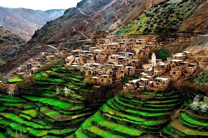 Premium Atlas Mountains & Berber Village Day Trip with Camel Ride - The transport tradeoff you should understand
