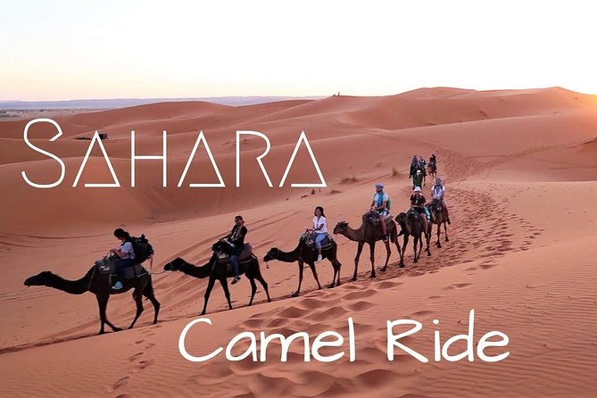 Private 3-Days Desert Trip From Marrakech to Merzouga - Is $578.40 per person good value?