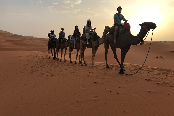 Private 4 Days Desert Tour from Fes to Marrakech - What the $708.49 price really covers