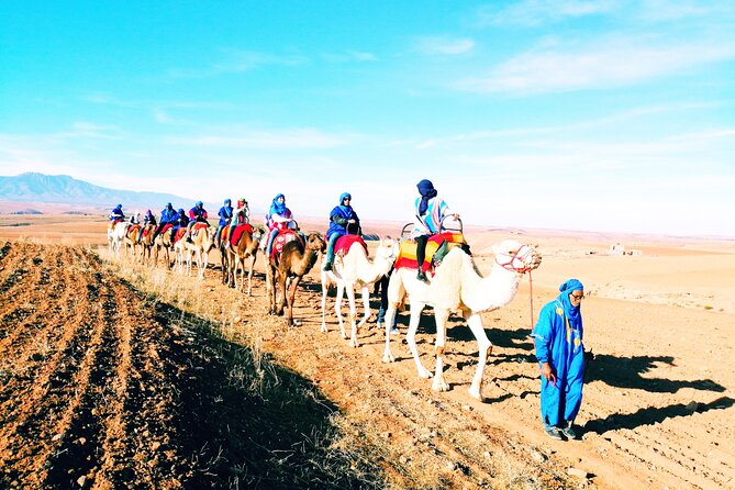 Private Atlas Mountains & Berber villages day trip - Argan oil, Berber tea, and the first stop