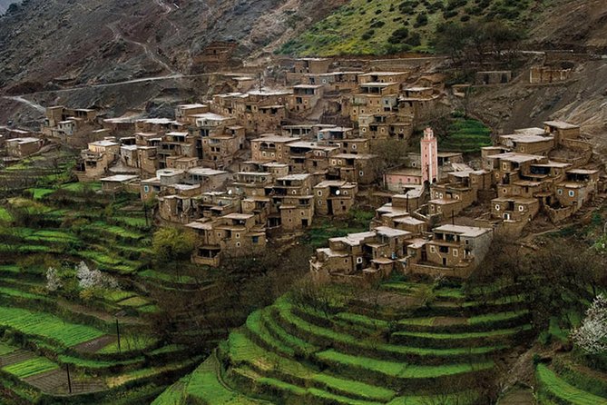 Private Day Atlas Mountains Waterfalls Ourika Berber villages - What makes this Ourika day trip worth your time