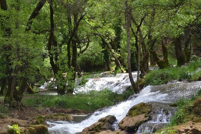 Private Day Tour from Fez to the Middle Atlas - Why the Middle Atlas makes a fine break from Fez