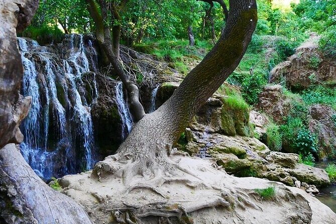 Private Day Tour from Fez to the Middle Atlas - Ifrane, Morocco’s snowy little town
