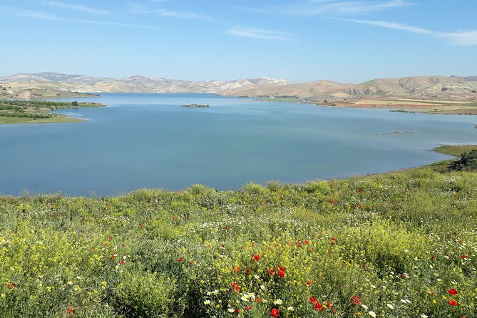 Private Day Tour to Meknes, Volubilis and Moulay Idriss from Fez - Who should book this experience