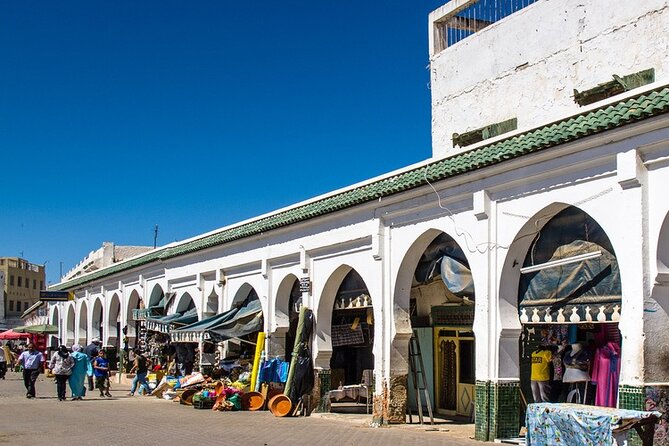 private Day trip from Fez to Volubilis and Meknes (without shopping) - The road from Fez: fast highway or olive country