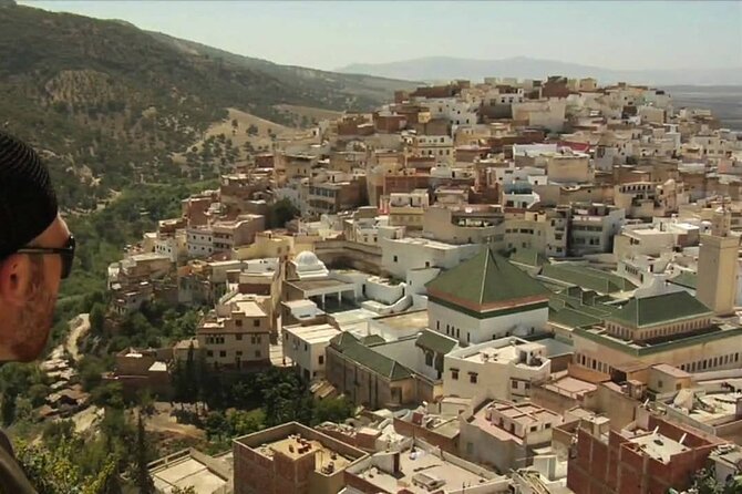 private Day trip from Fez to Volubilis and Meknes (without shopping) - Timing, pace, and what the private format really means