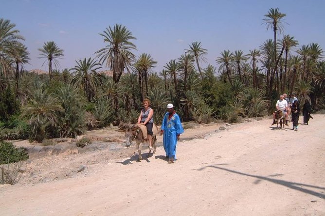 Private Day Trip of Taroudant & Tiout from Agadir - Walking through more than 20,000 date palms