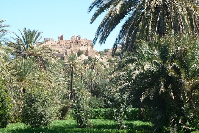 Private Day Trip of Taroudant & Tiout from Agadir - A three-hour change of pace in Tiout