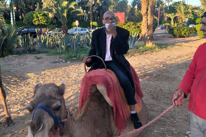 Private day trip to Marrakech from Casablanca - Jemaa el Fna and the Marrakech medina