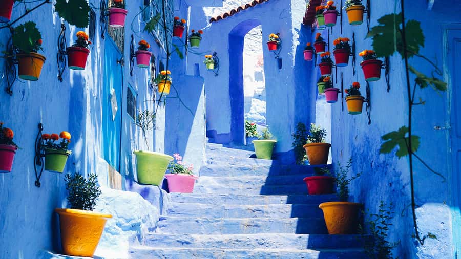 Private - Day Trip to the Blue City of Chefchaouen - Who will enjoy this day trip most?