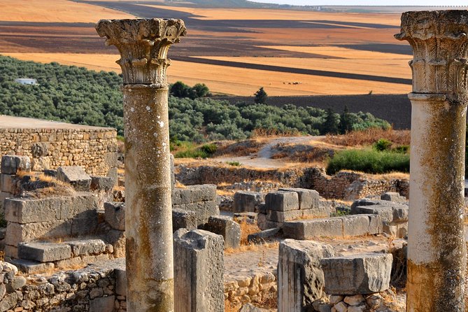 Private Day Trip to Volubilis Meknes and Moulay Driss From Fez - Leaving Fez for Volubilis