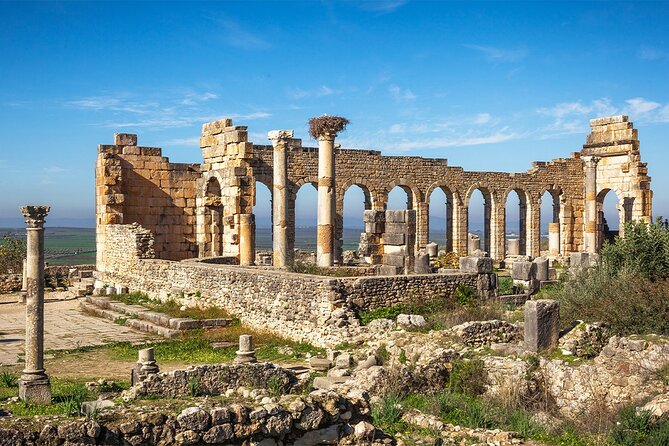 Private Day Trip to Volubilis Meknes and Moulay Driss From Fez - Who will get the most from this day?