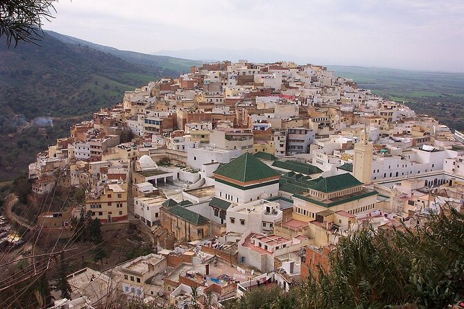 Private Day Trip to Volubilis Meknes and Moulay Driss From Fez - Moulay Idriss and the story of Idris I