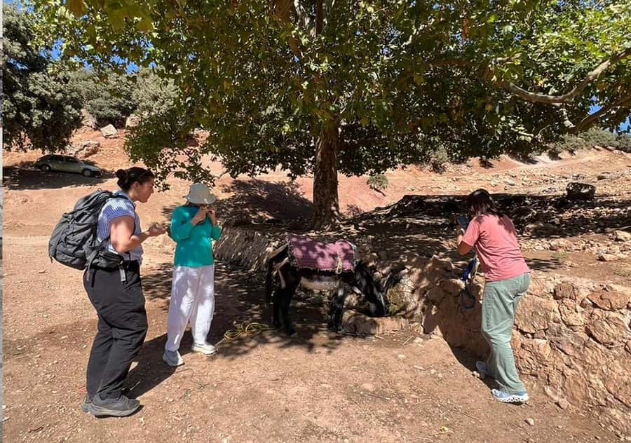 Private Day Trip to Volubilis, Moulay Idriss and Meknes - Key points at a glance