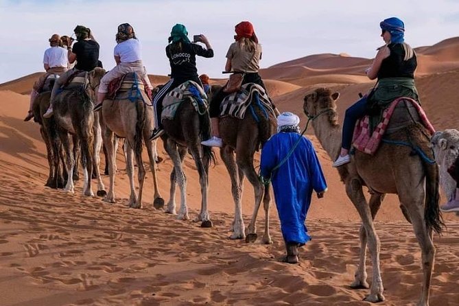 Private Desert Odyssey: Marrakech to Merzouga 3-Day Adventure - Who should book this Marrakech desert trip?