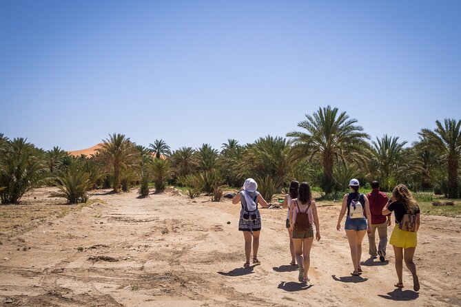Private Driver for a full day in Marrakech - What the full-day Marrakech service actually gives you