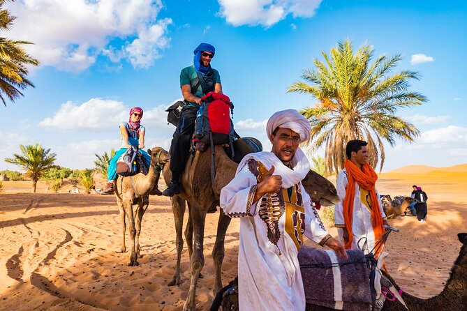 Private Driver for a full day in Marrakech - Food, drinks, tickets, and other extra costs
