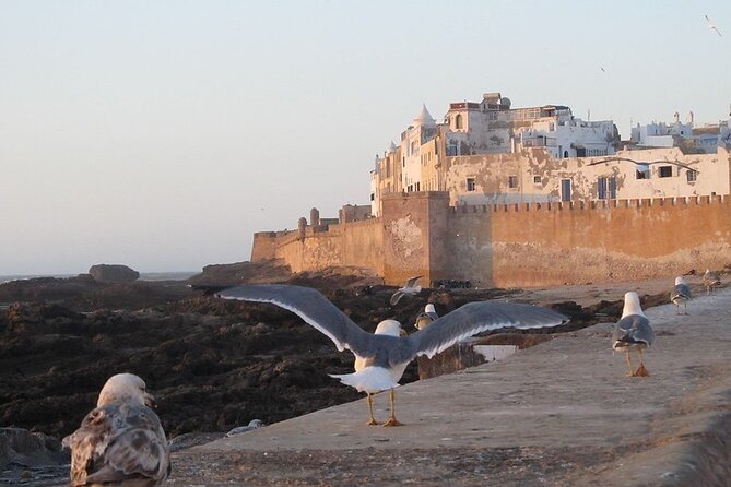 Private Essaouira Day Trip From Agadir - Key points to know before you book