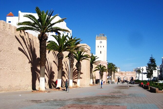 Private Essaouira Day Trip From Agadir - Mint tea in a Berber village